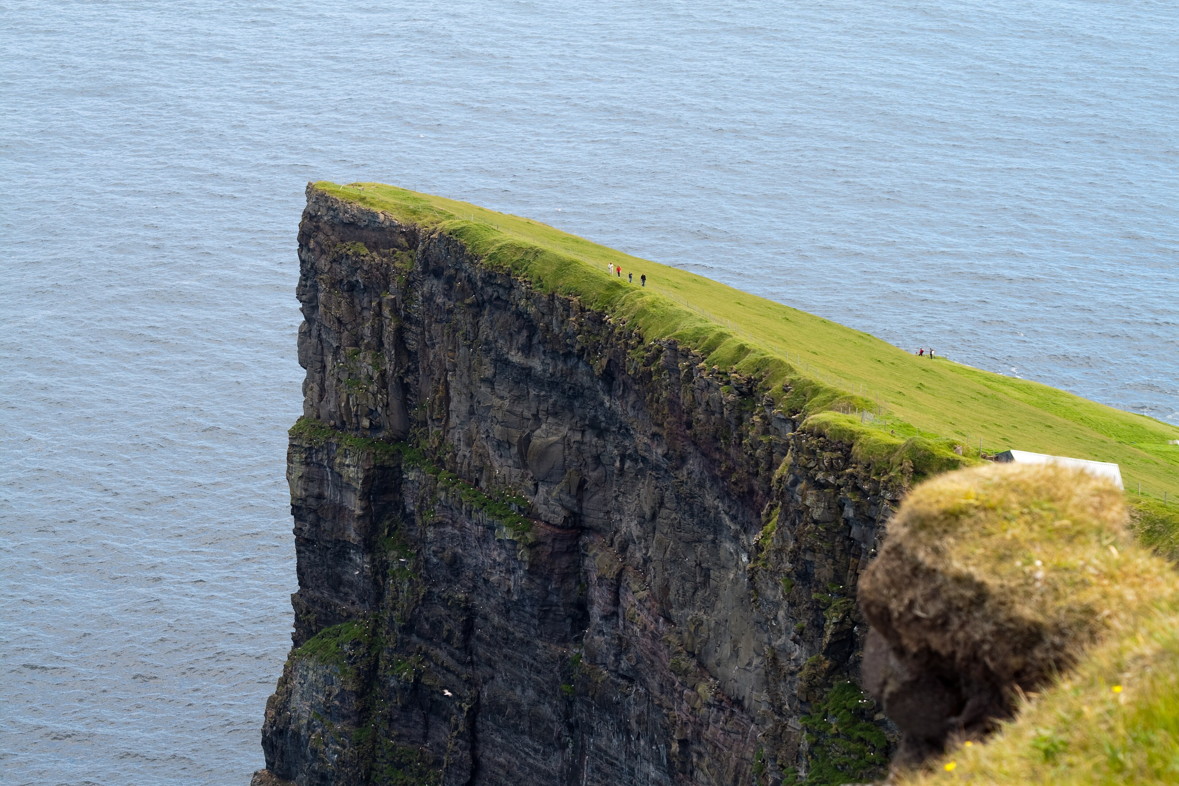Grüne Klippen bei Gjógv auf den Färöern mit Blick auf den Atlantik